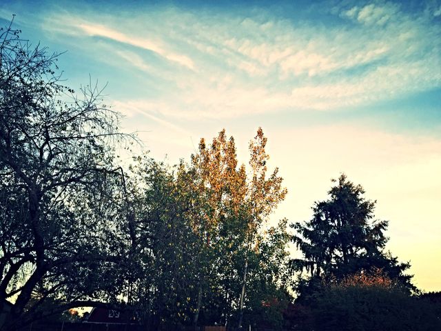 Afternoon Sky