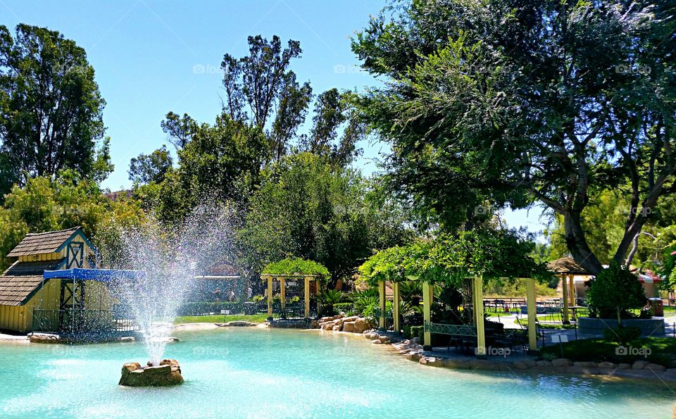 Fountain. Peaceful pond with fountain.