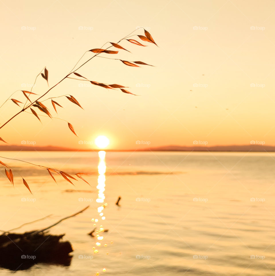 Golden hour on Danube river