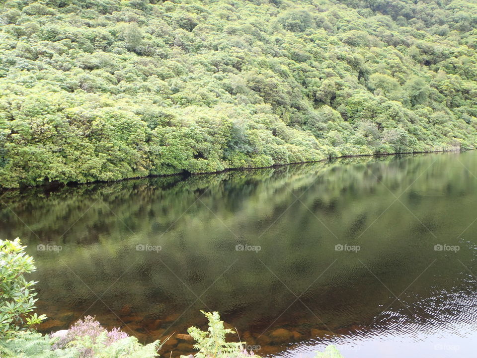 Could there be a monster there. Blackwater lake - volcanic. the Vee Ireland 