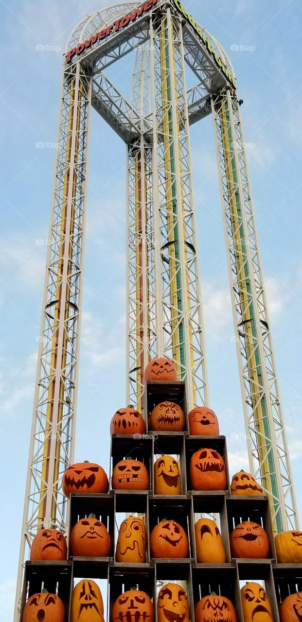 coasters and pumpkins