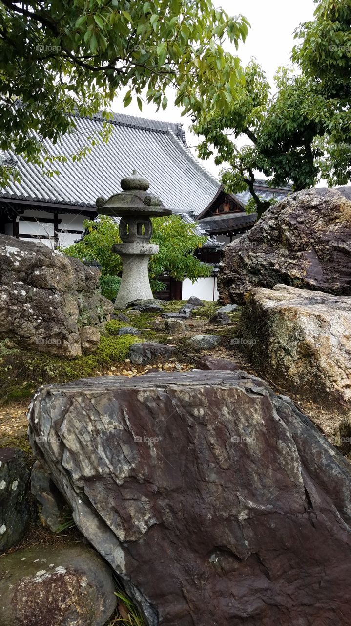 Japanese garden