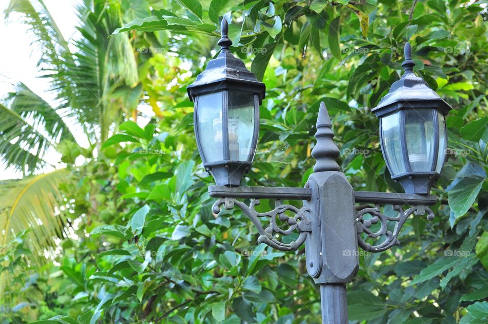 Lamp, Lantern, Hanging, Leaf, Bulb