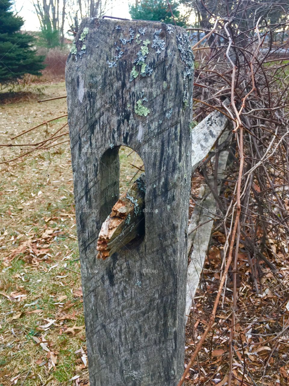 Fence post 