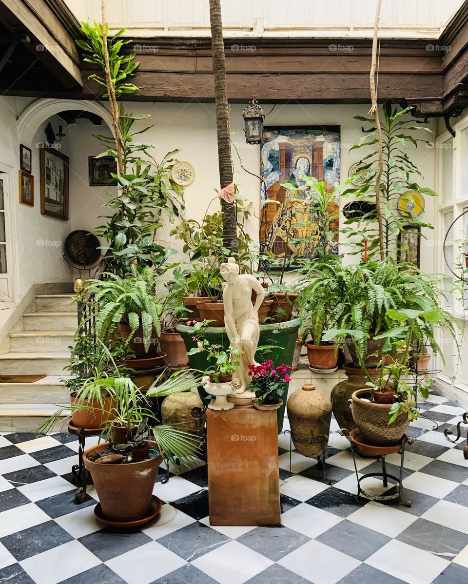 Building patio entrance decorated with variety of assorted plants 