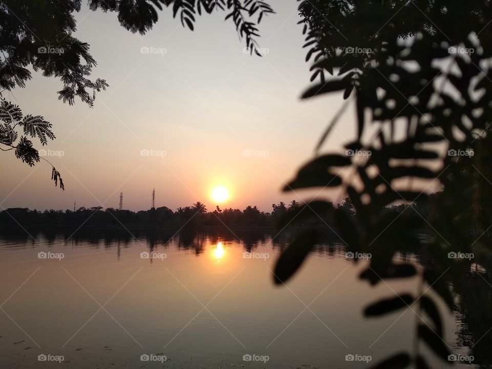 beautiful golden sunset