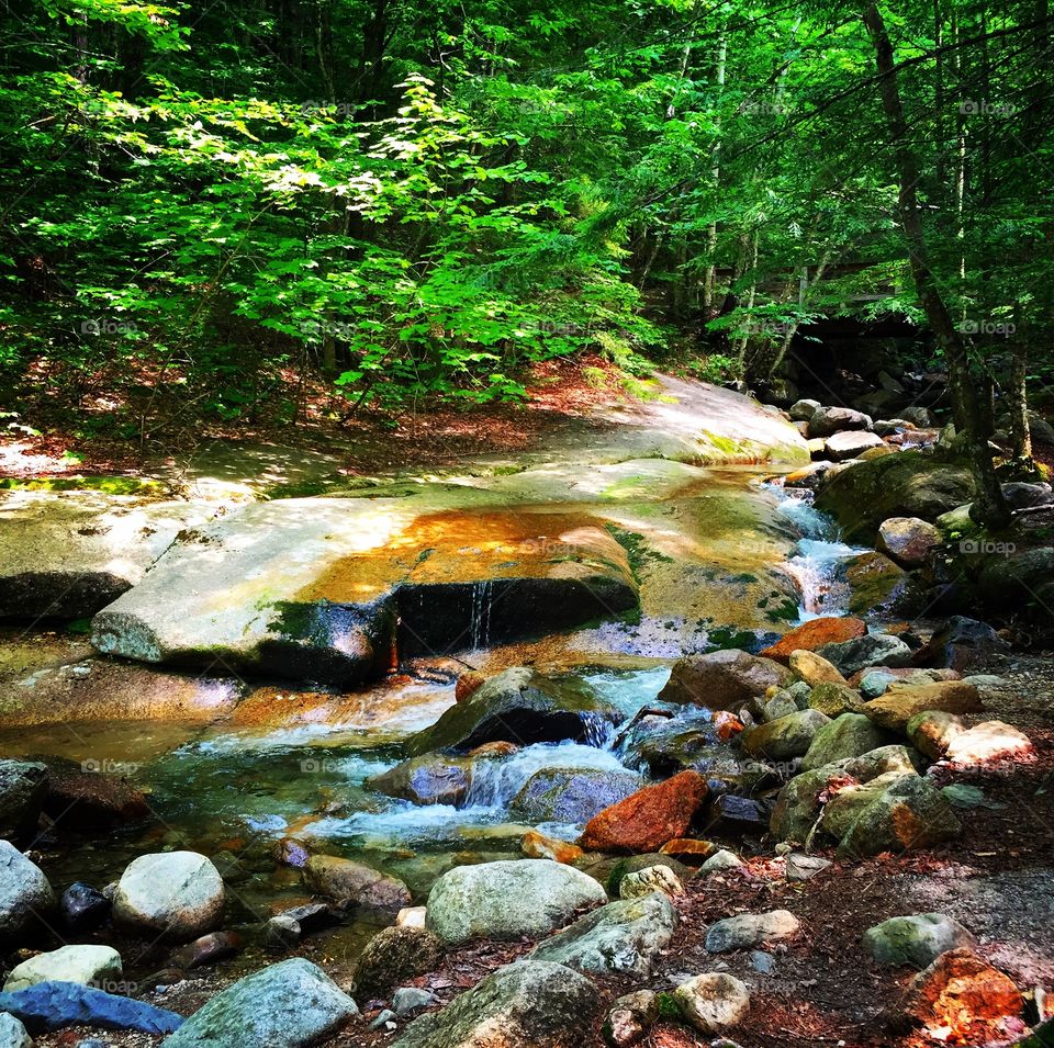 Franconia National State Park, New Hampshire