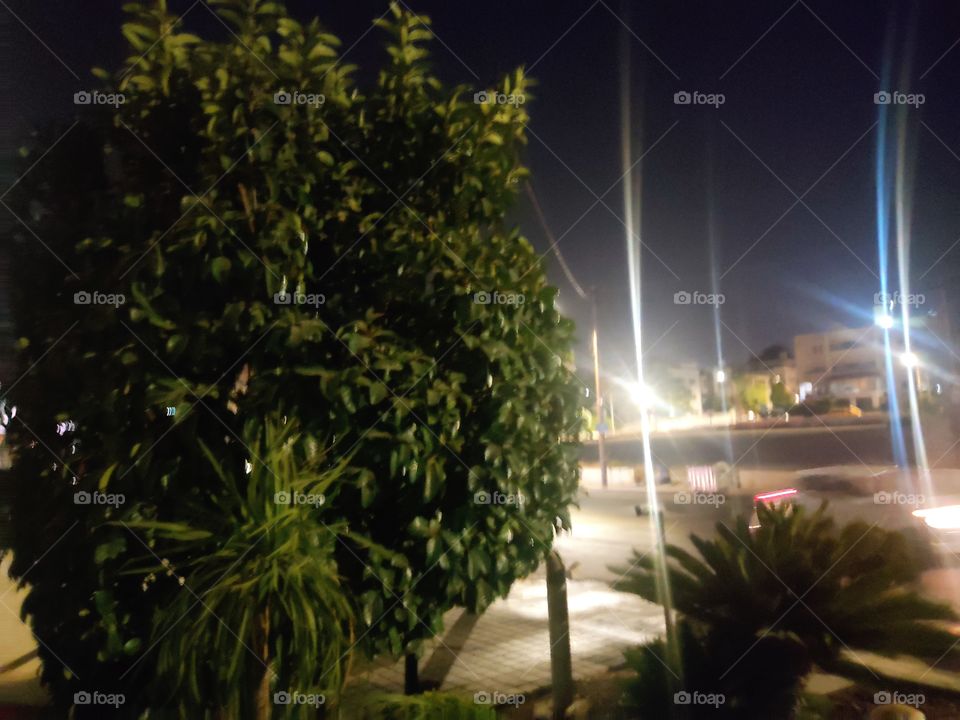 Night, calm and relaxation