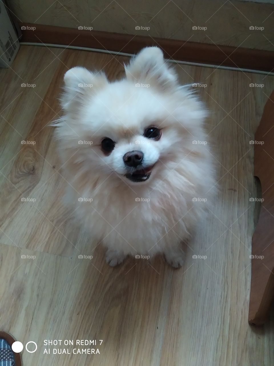 Наш любимчик😍💕