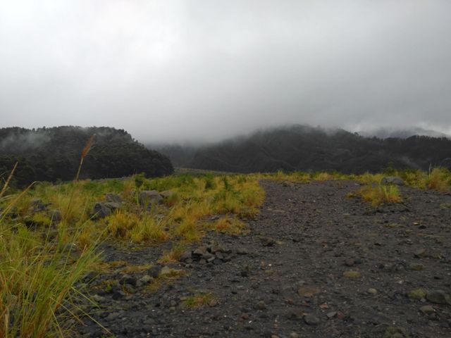 Mist on the top of the mountain