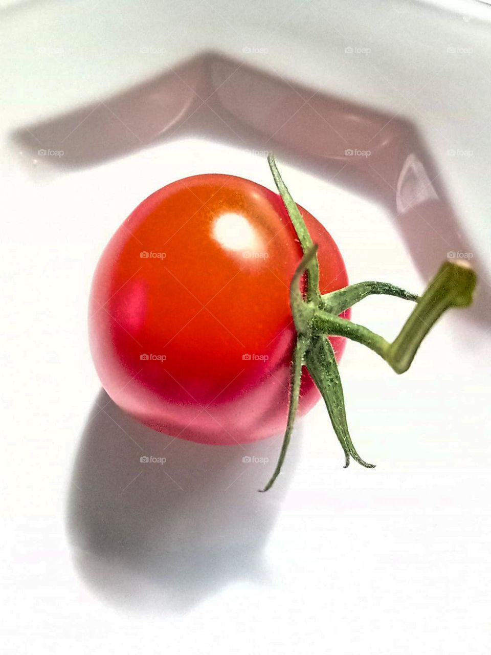Tomato