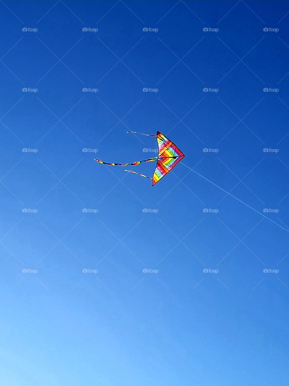 rainbow kite in high blue sky in summer