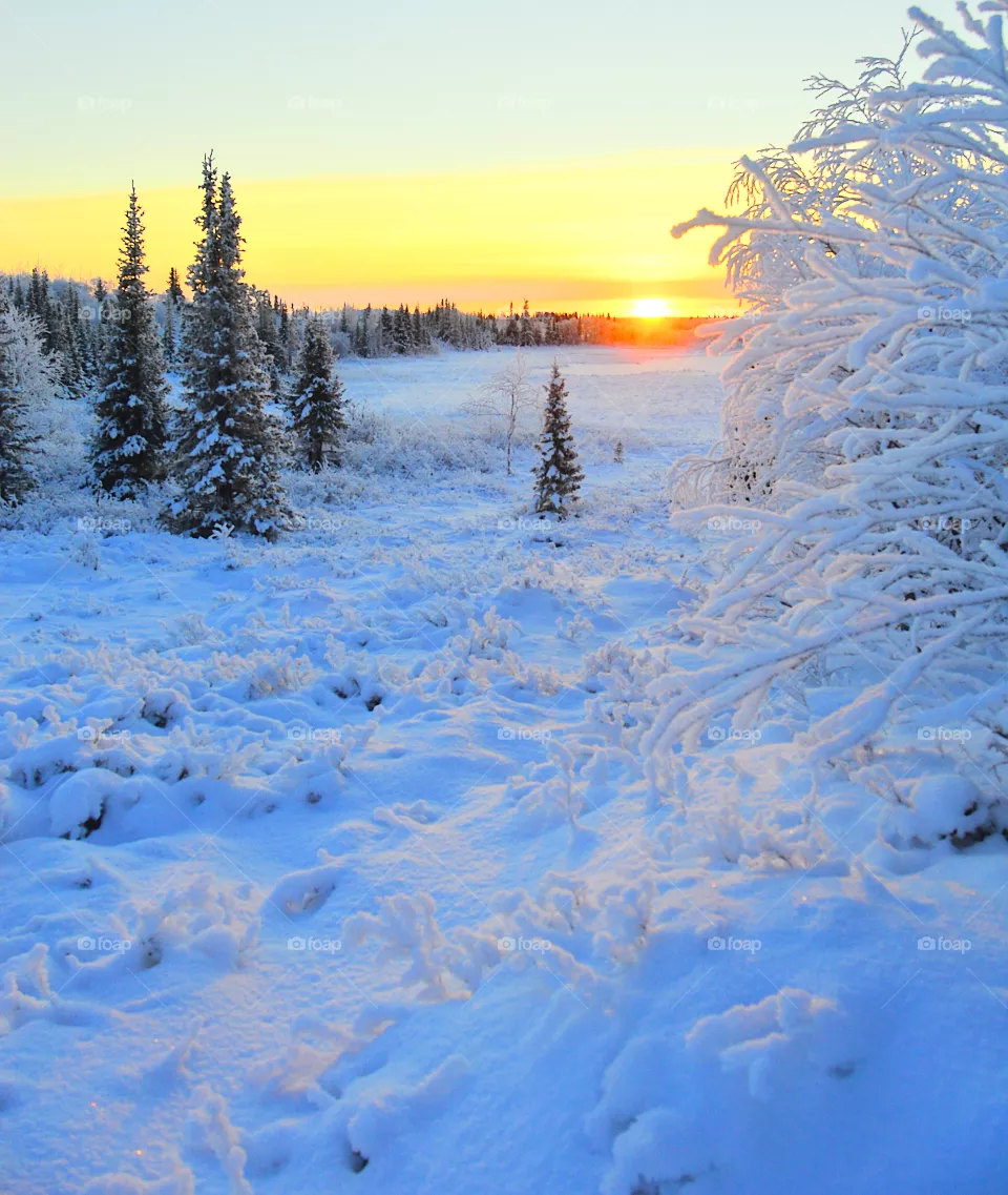 winter, sunset