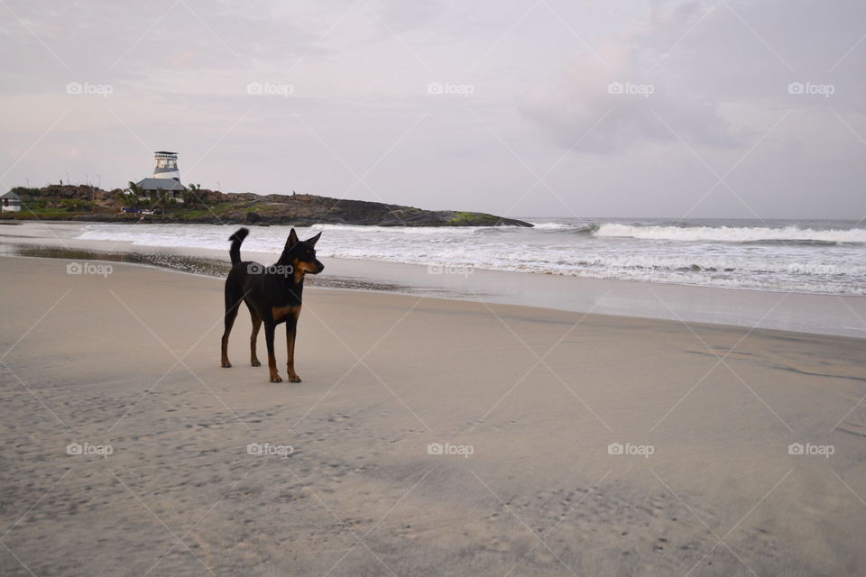 ● Add a title ;) ●