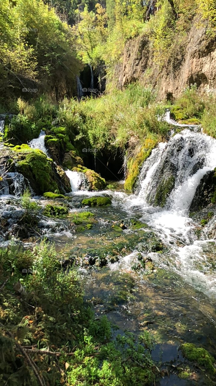 Waterfall in Spearfish Canyon