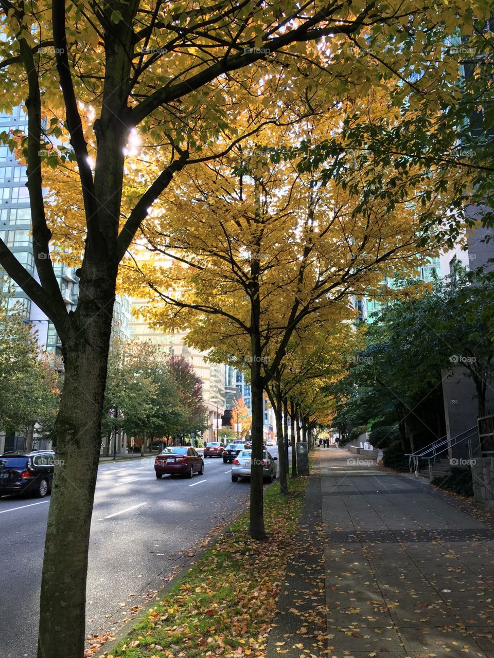 Autumn in the city