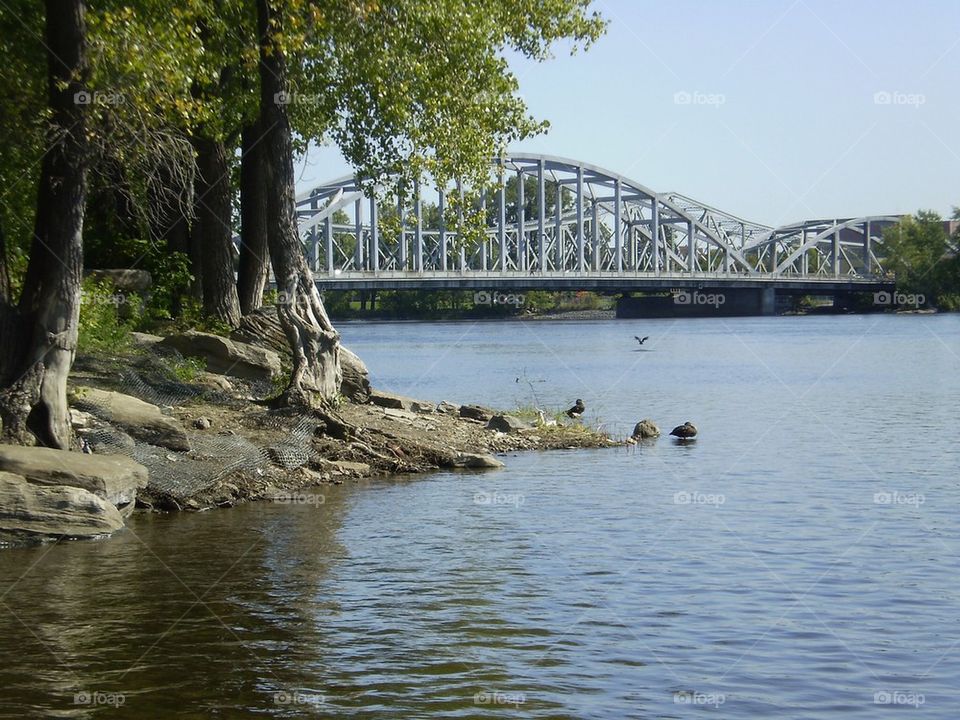 Pont sur la rivière 
