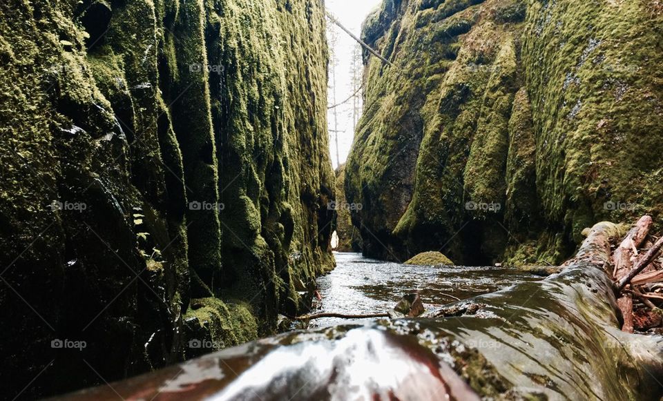 Oneonta Gorge