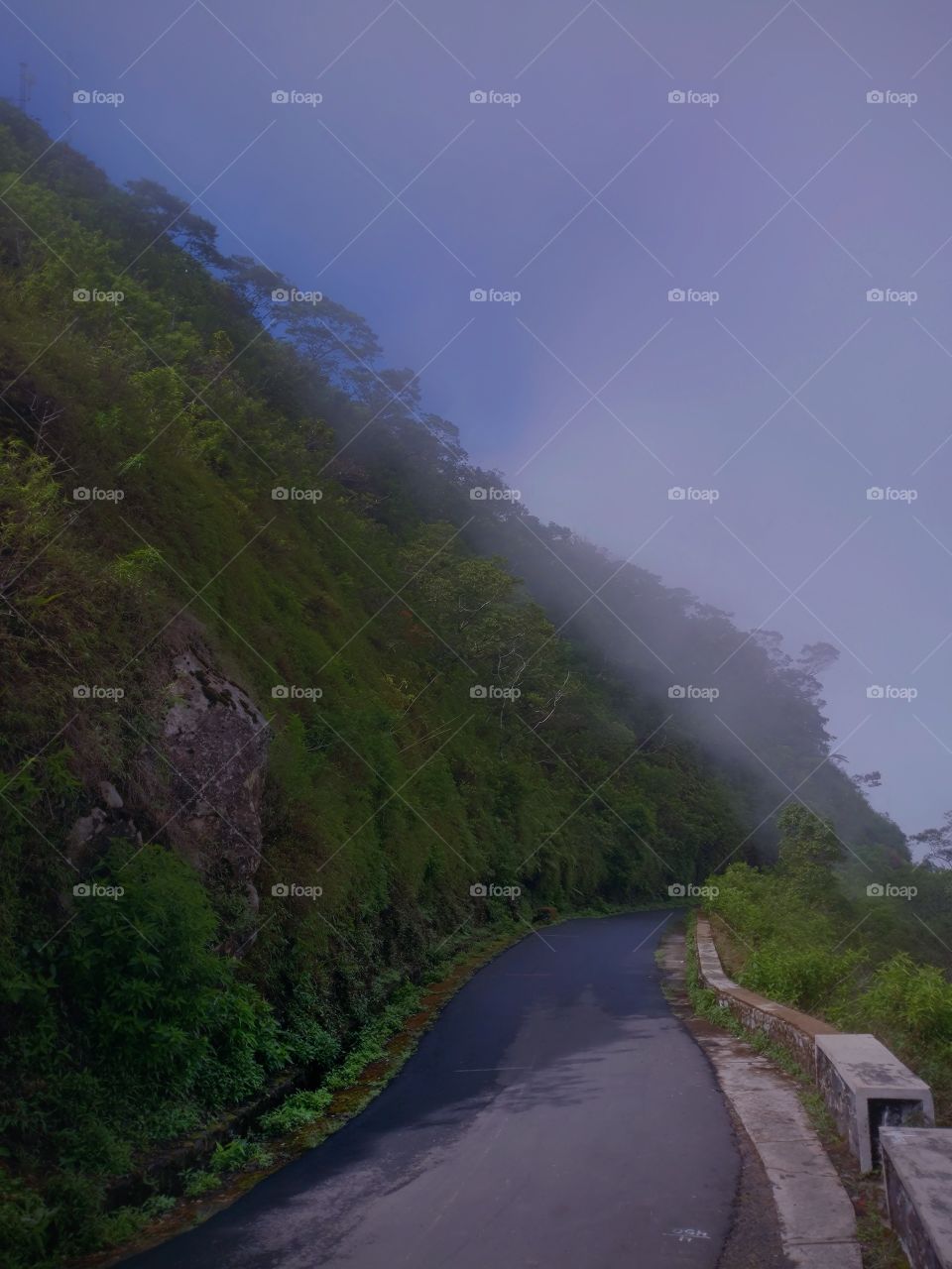 landscape mountain green background