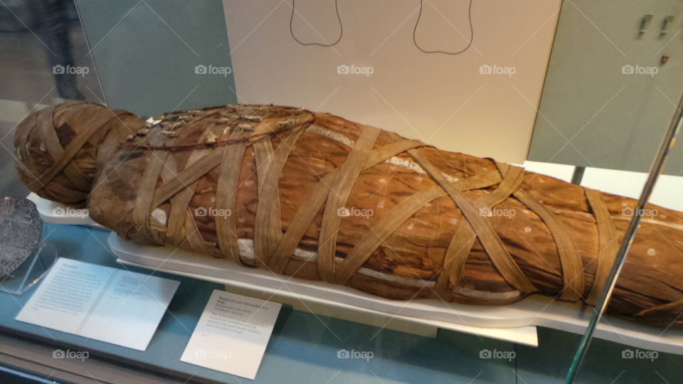 Egypt.  real Egyptian mummy
