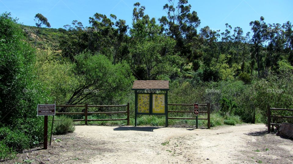 Peter's canyon