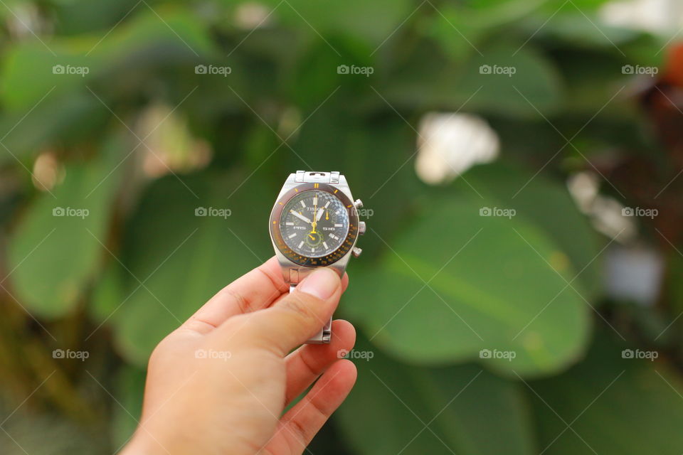 wristwatch