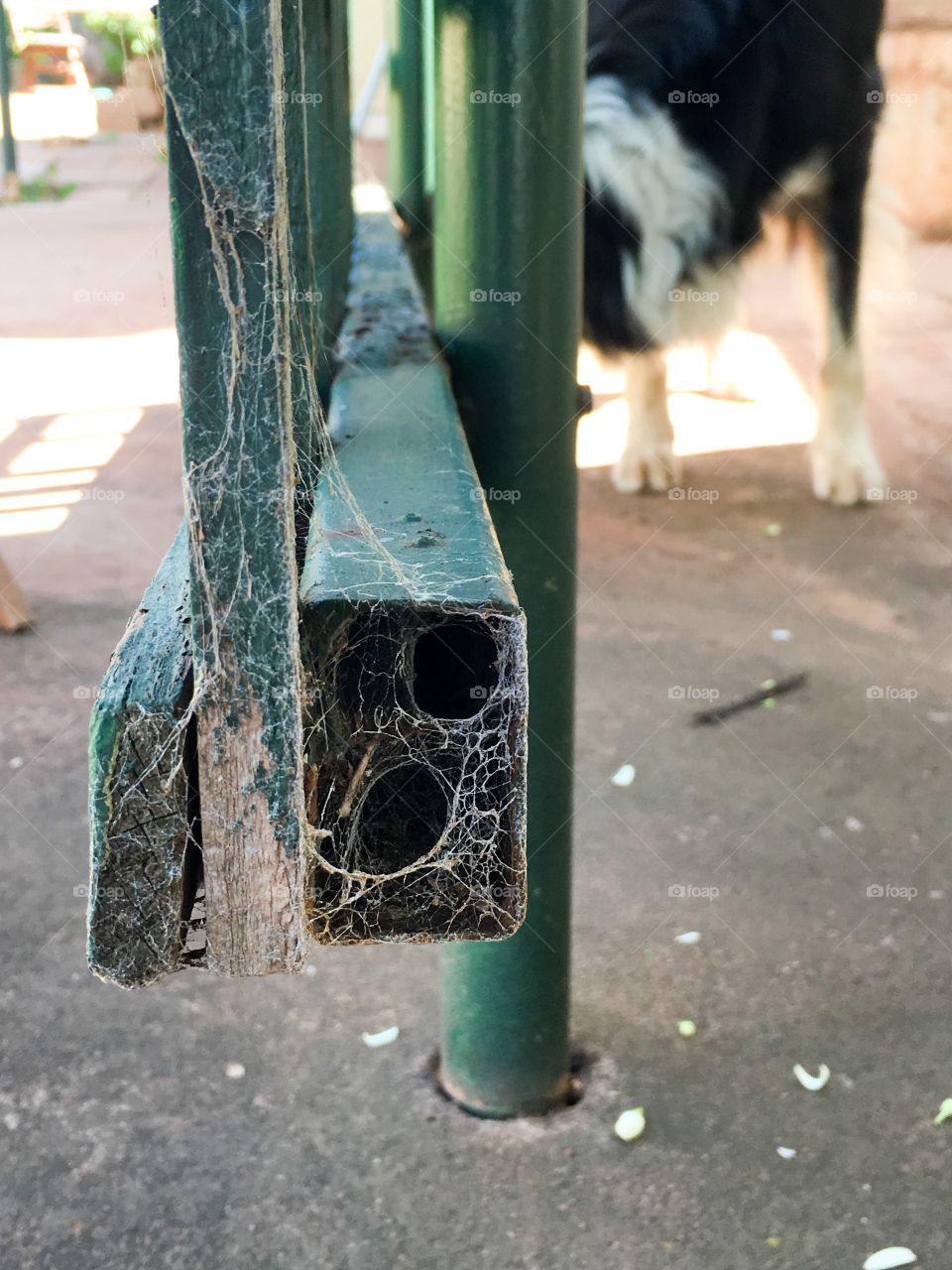 Spider webs in old green metal fence grunge 