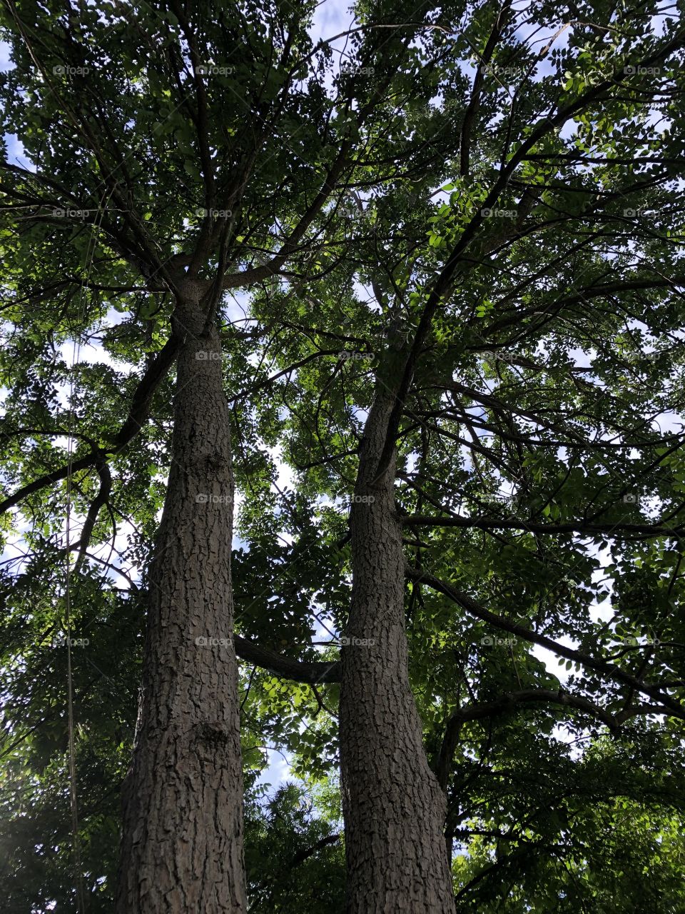 The green color stories,Countryside ( my garden)