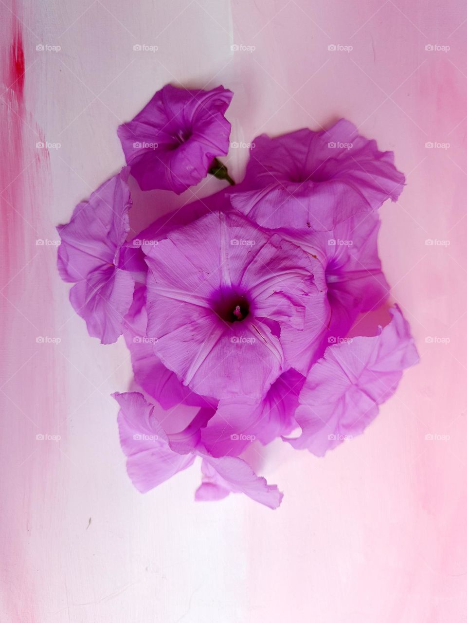 soft purple flowers placed on top of a painted canvas