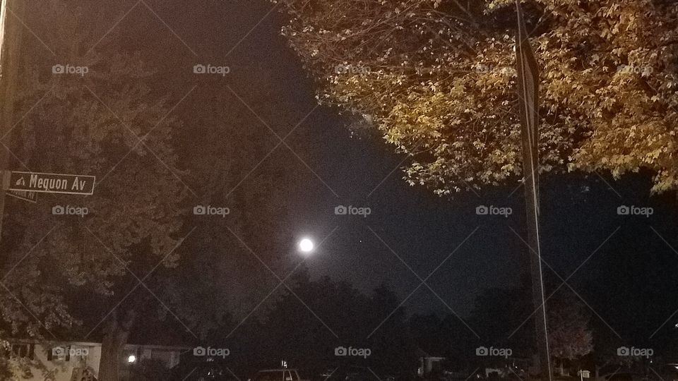 Moon lit evening