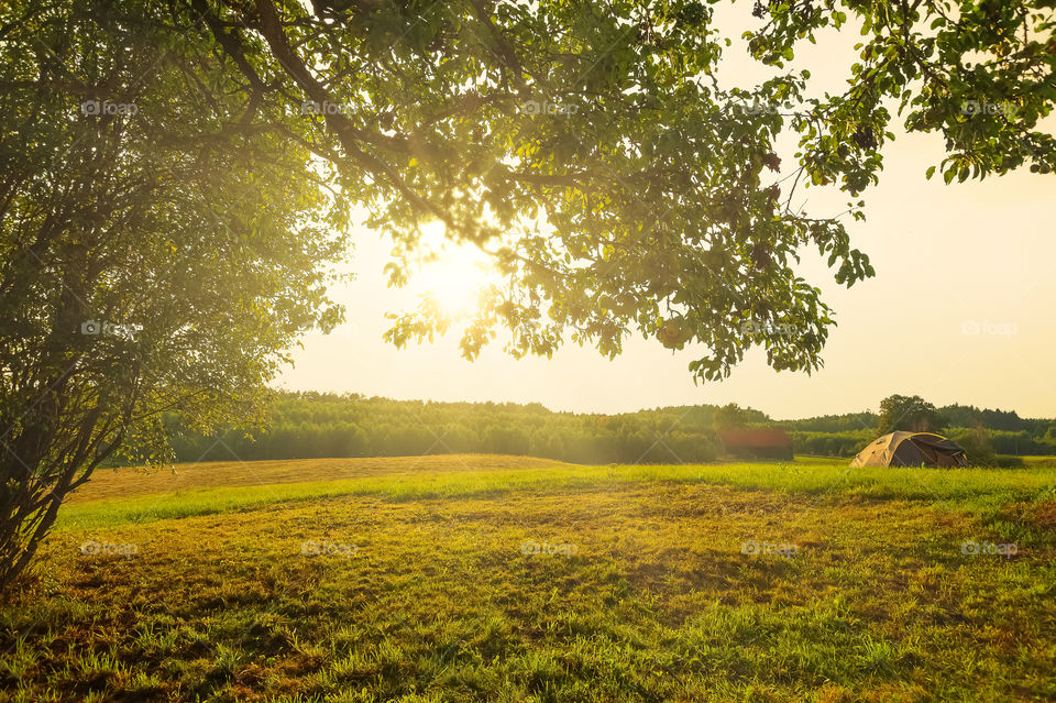 Tent in the field and beautiful sunset with sunrays through the apple tree.