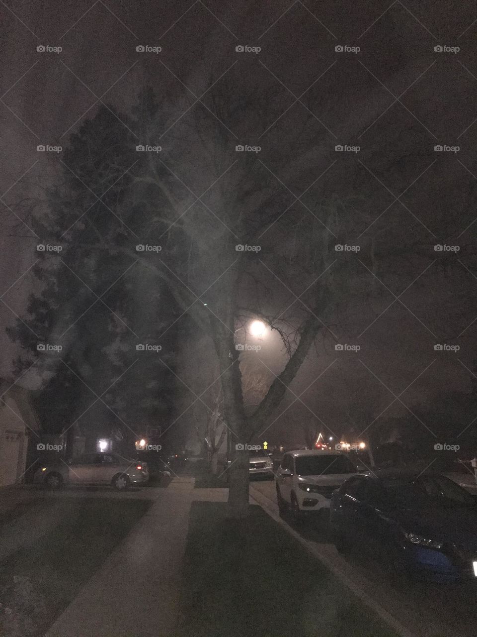 Nighttime in December.