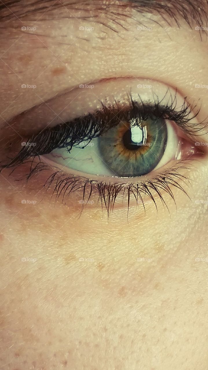 green brown eye