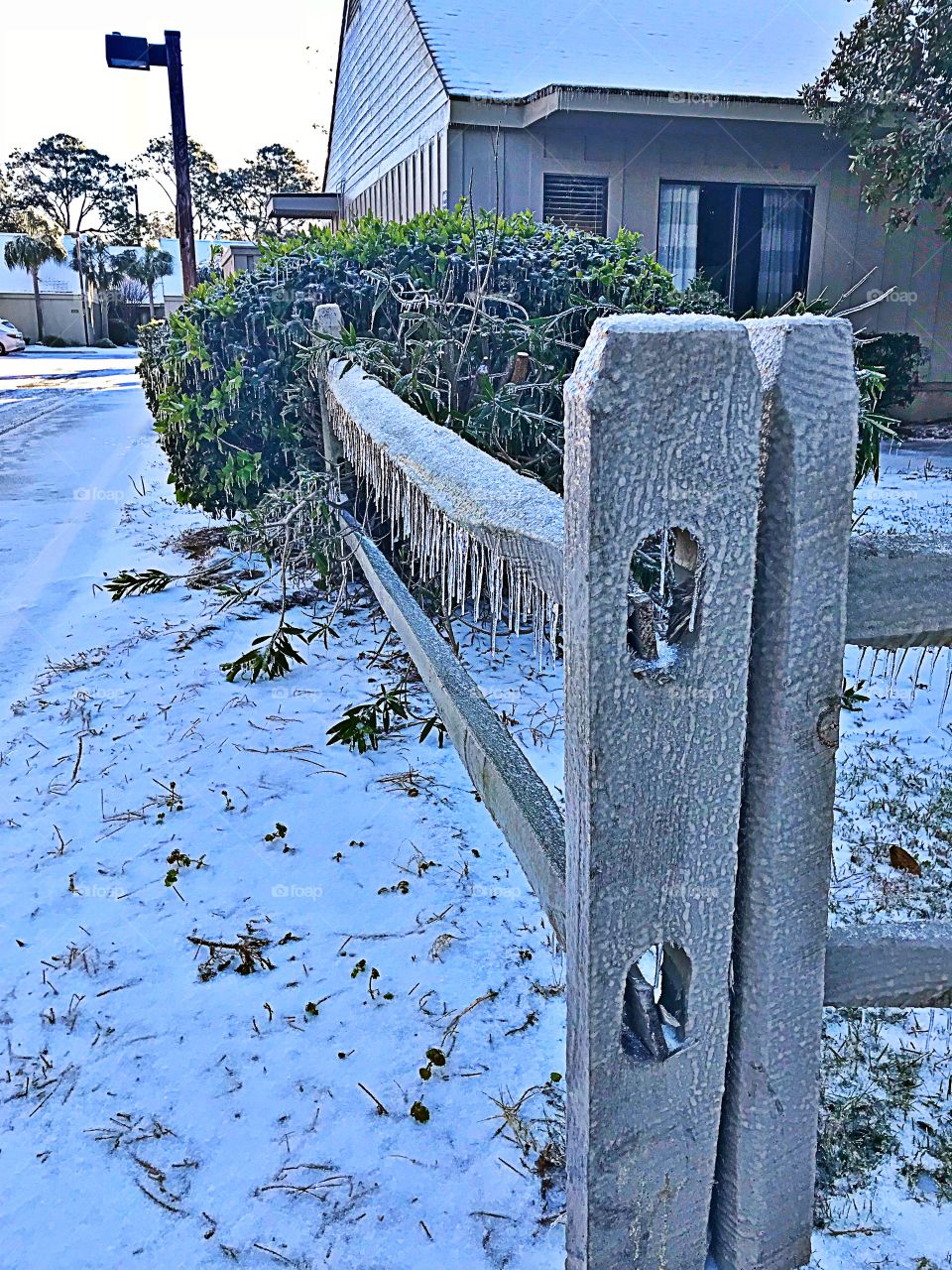 Frozen fence 