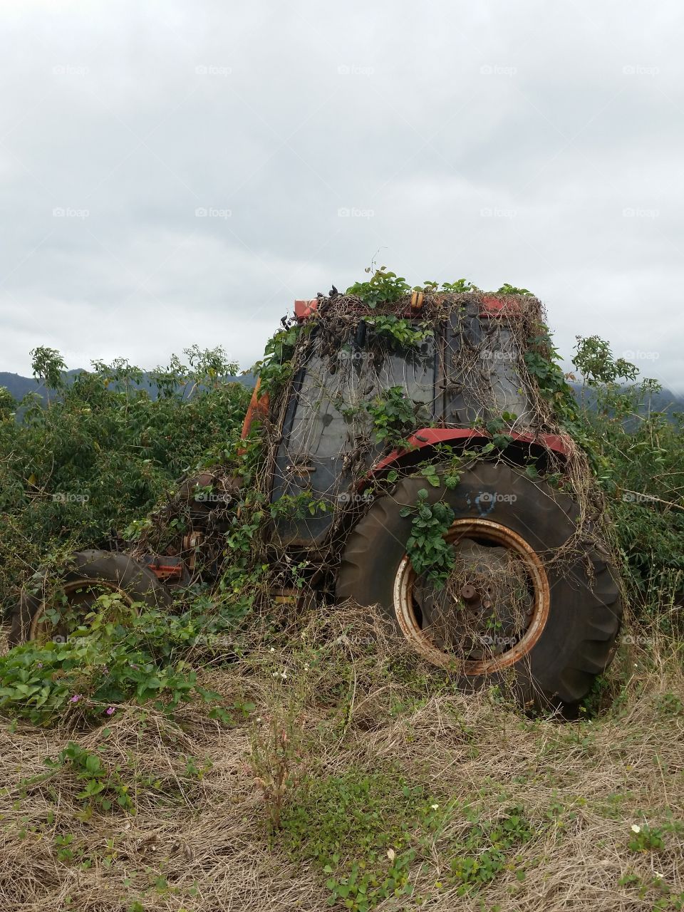 retirement tractor