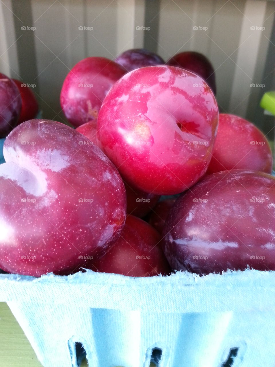 plums. fruit