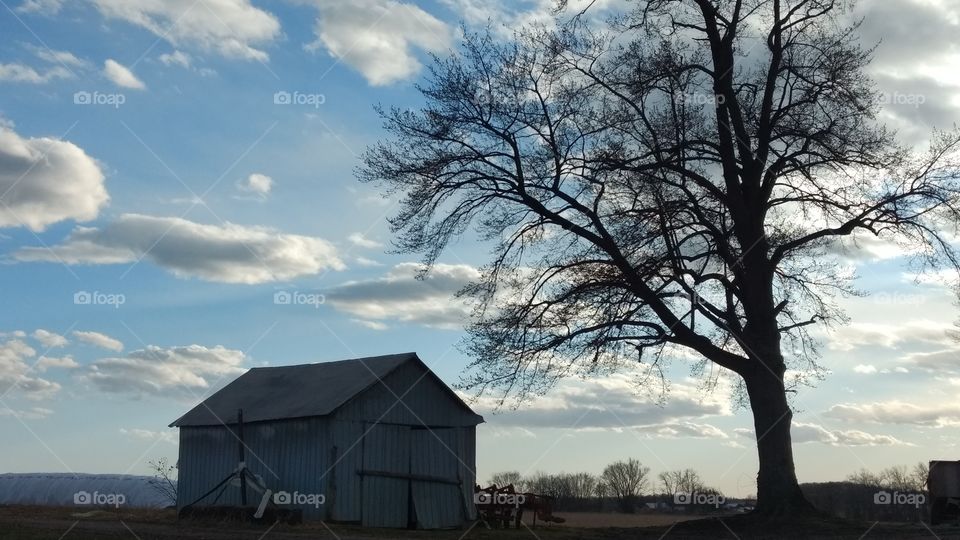 Once Upon A Windy Spring Day