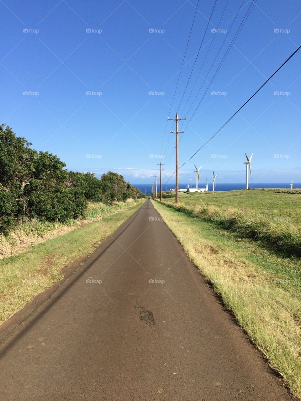 A country road on Big Island with wind mills on the side.