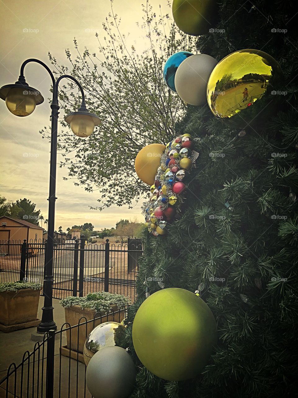 Christmas tree background.