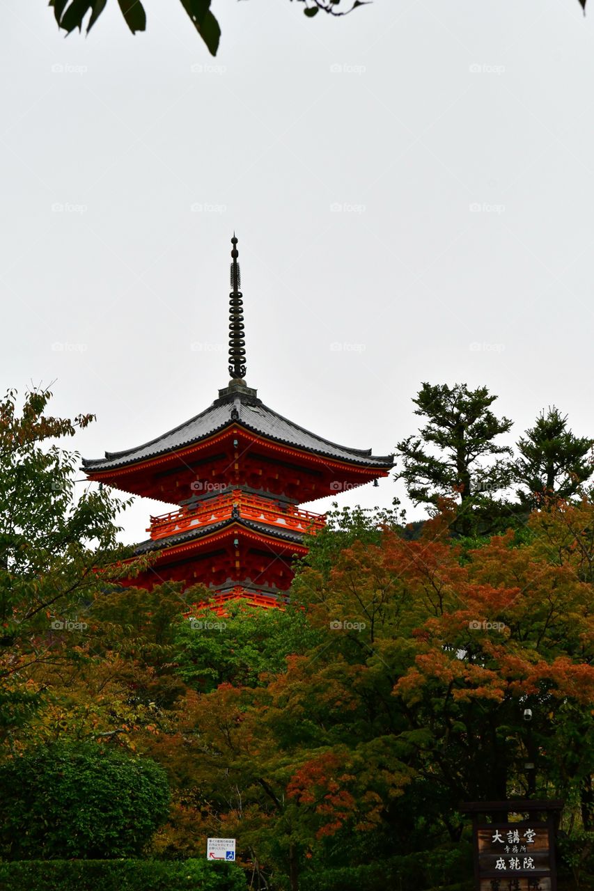 Fall foliage at the temple