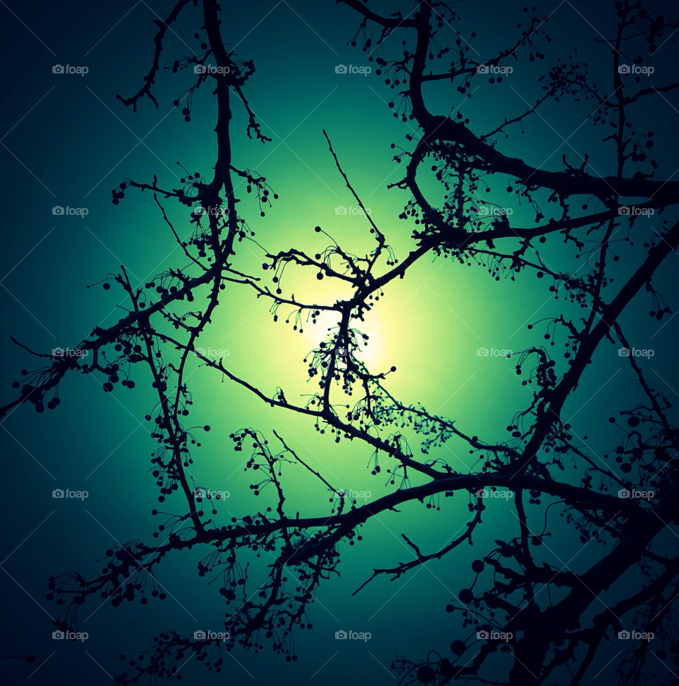 green yellow blue tree by squishypie