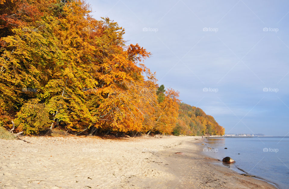 No Person, Landscape, Fall, Nature, Water