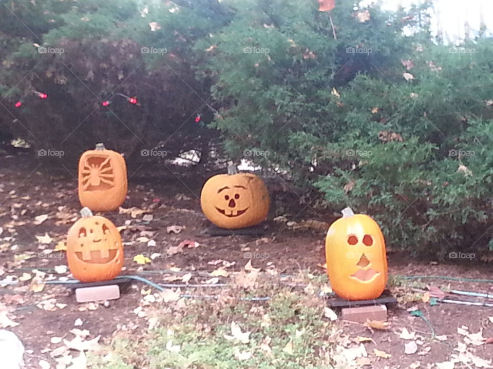 pumpkins #2