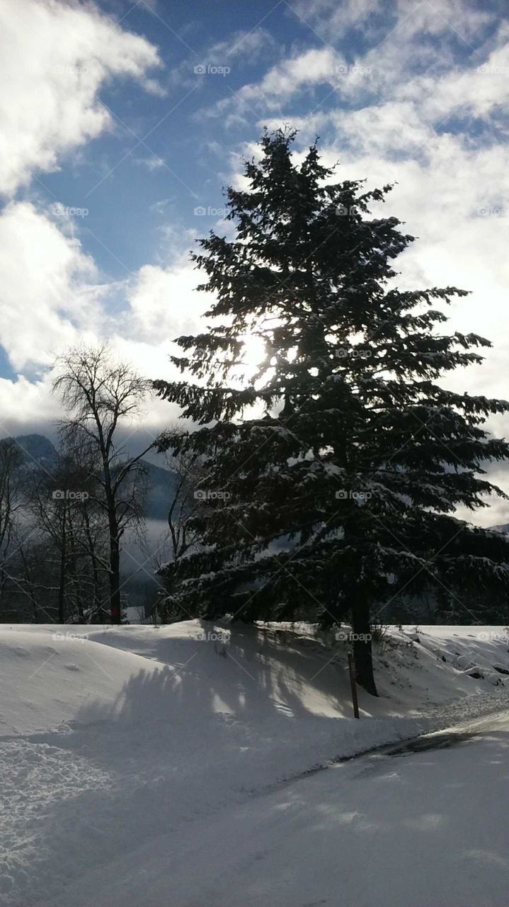 cascade locks Oregon