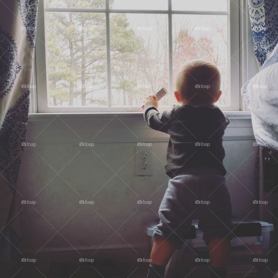 Baby in the window
