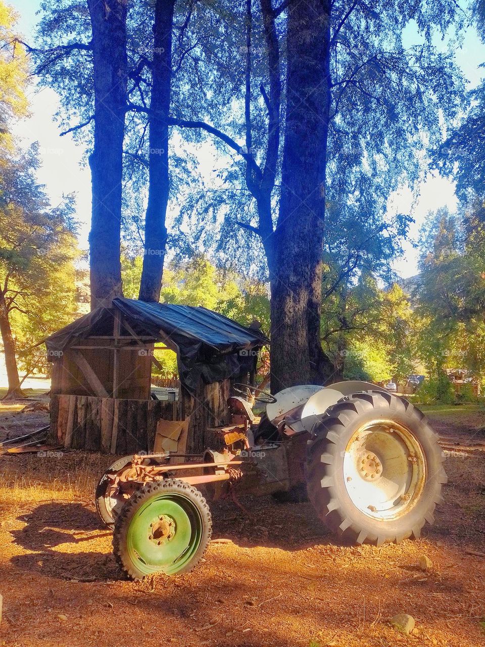 san Martín de Los Andes 14