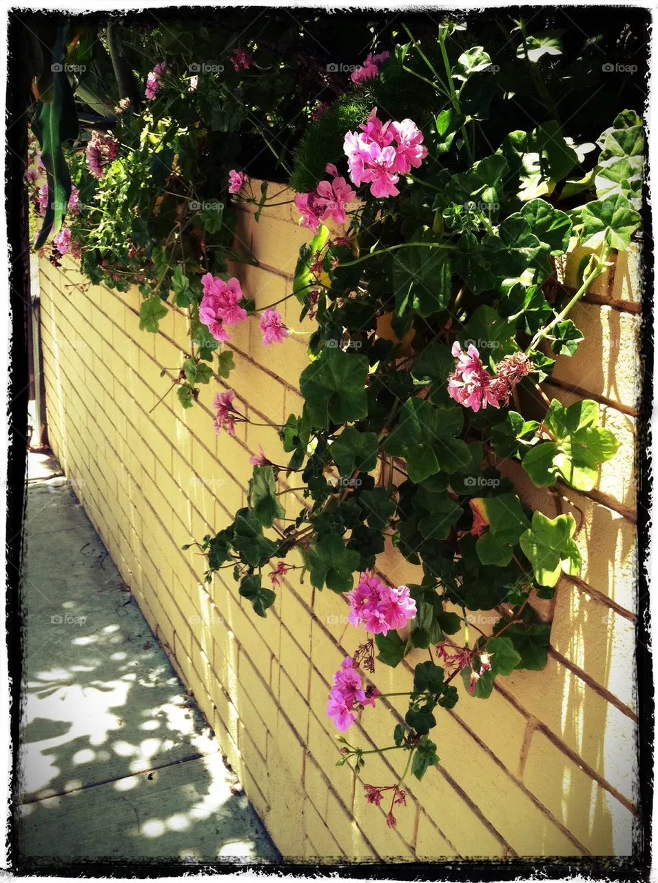 Sidewalk 