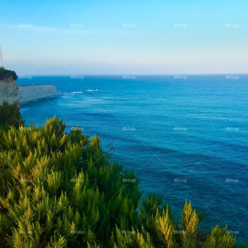 Low and smooth waves crawling up to the tall cliffs Thick bushes overlook the scene proudly.