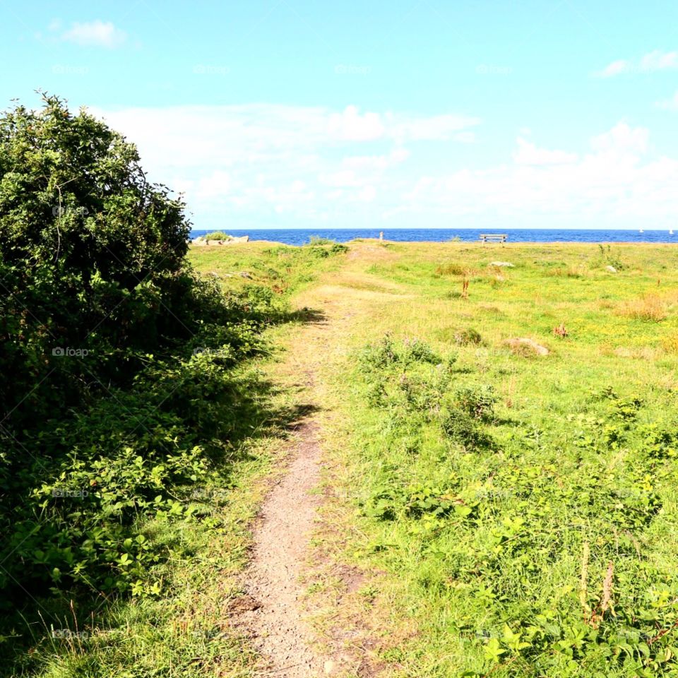 Pathwalk to the sea