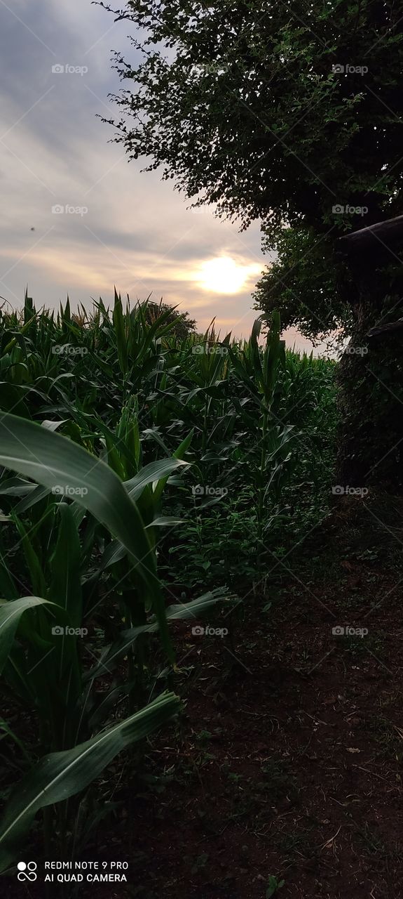 The rising sun fills everyone with happiness, taking happiness in the eyes.